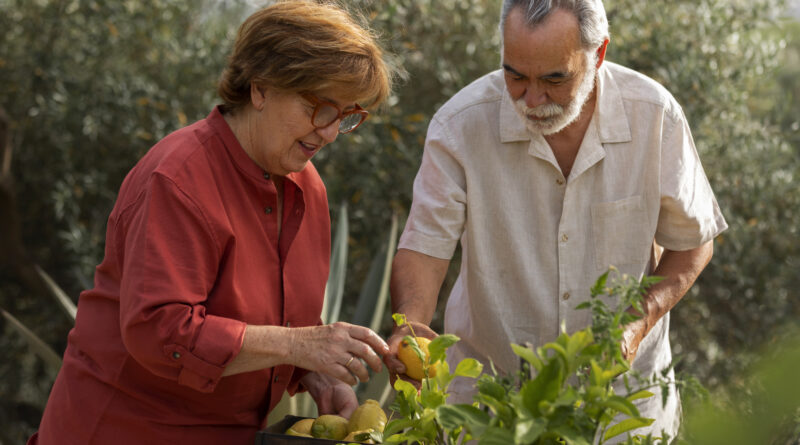 Las plantas de interior aliadas para personas con Alzheimer