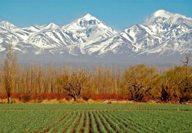 Expectativa por el valor de la tierra rural en Mendoza
