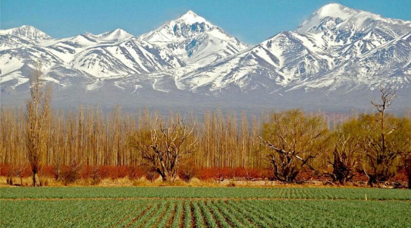Expectativa por el valor de la tierra rural en Mendoza