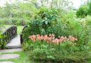 Jardines preparados para una temporada de lluvias